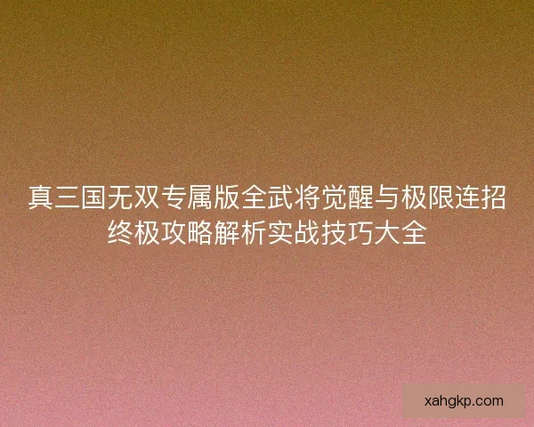 真三国无双专属版全武将觉醒与极限连招终极攻略解析实战技巧大全
